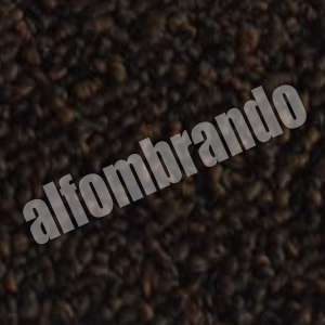 alfombras promociones cancun