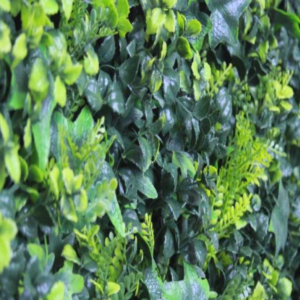 decoracion muro verde cancun