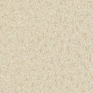 papel tapiz playa del carmen