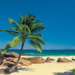 papel tapiz playa cancun