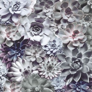 papel tapiz playa cancun