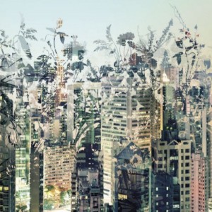 papel tapiz playa cancun