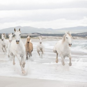 papel tapiz playa cancun